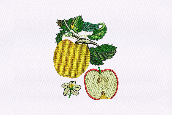 Apple and Half Apple: A Designer’s Real-World Review
