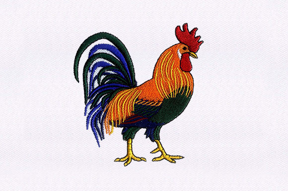 Brahma Chicken: A Craft Fair Standout